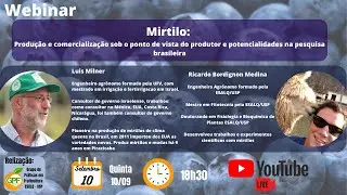 Webinar GPF: Mirtilo
