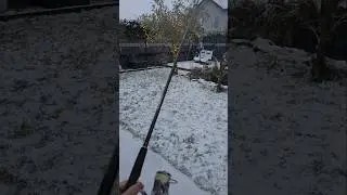 Zander angeln,jiggen im Garten 😂🎣#zander #angeln #garten #shortsfeed