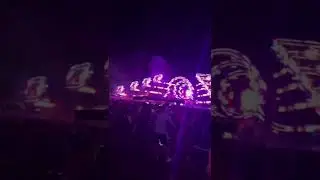 EDC Orlando 2022-Cloonee fine day