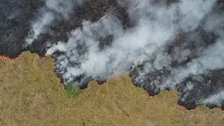 Social Media's Effect on the Amazon Rainforest Fires