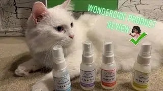 Wonderside Product Review