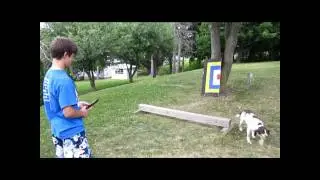 AARON'S THROWING KNIFE FAILS