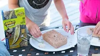 Unearth Dinosaur Fossils with I Dig It Dinos + Unboxing Toys