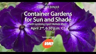 Container Gardens for Sun and Shade