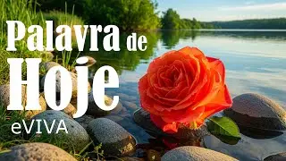 PALAVRA DO DIA 03 DE FEVEREIRO DE 2026 eVIVA MENSAGEM DE BOM DIA E DEVOCIONAL Eclesiastes 3,1