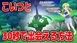 【図鑑完成】ミノマダムと30秒で出会える方法を解説します【高速実況】【ポケットモンスターブリリアントダイヤモンド・シャイニングパール】