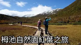 日本中部山岳國立公園：栂池自然園紅葉之旅