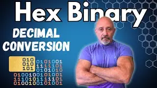 Hex Binary Decimal Conversion