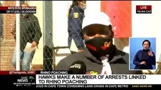 Hawks make arrests linked to rhino poaching in Mpumalanga