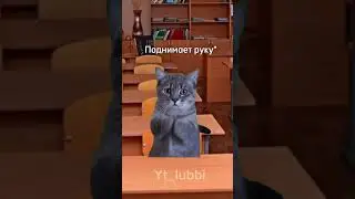 Please subscribe 🥺🙏 #music #newmusic #singersongwriter #song #fnf #cat #memes #meme #cat