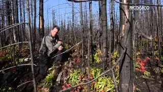 Les feux de for&ecirc;t - Maya d&eacute;couvre la C&ocirc;te-Nord - &Eacute;mission 8 - Hiver 2015 - NousTV Sept-&Icirc;les