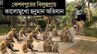 গন্তব্য কেশবপুর - কালোমুখো হনুমানের খোজে ।। Black Face Hanuman in Keshabpur