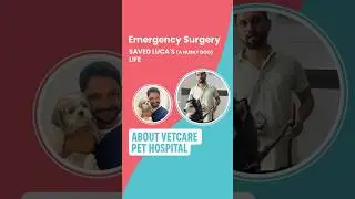 Emergency Vet Care | Dr. Viswanath | Vetcare Pet Hospital