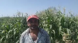 INDIAN🇮🇳 FARMERS VILLAGE LIFE AND ORGANIC VEGETABLE SELLING DIRECT FARM
