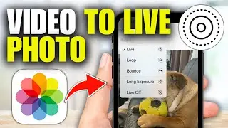 How To Convert Video To Live Photo in iPhone (Updated)