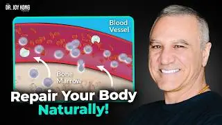Unlock Your Body&rsquo;s Natural Healing Powers With Stem Cell Mobilization | Dr. Christian Drapeau