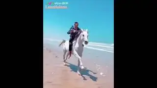 L .H🌿💞🌿Жизнь научила  иметь три вещи: Терпение, смирение и уважение.