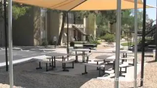 Sagebrook Apartments in Las Vegas, NV - ForRent.com