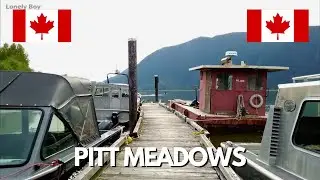 Walk at Grant Narrows Regional Park | Peaceful Nature Walk in Pitt Meadows BC