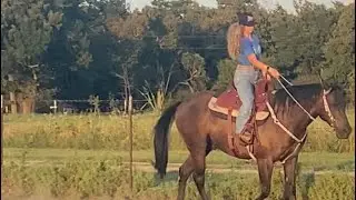 My New Martin Stingray Barrel Saddle By Martin Saddlery!