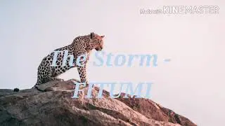 The Storm - FITUMI.