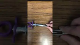 Parts of a dental anesthetic syringe