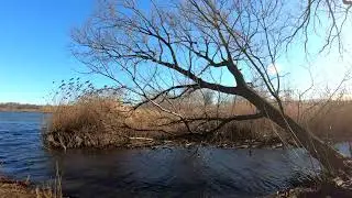 ⁴ᴷ⁶⁰ Walking NYC : Willow Lake at Flushing Meadows-Corona Park