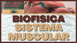 Biofisica del Sistema Muscular