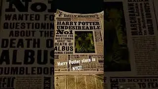 Great Experience!Harry Potter. is the first official store in the heart of NYC! #harrypotter #shorts
