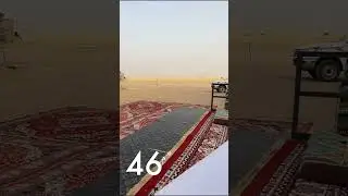 صبار صديق الكل يوميات