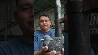 Zaldy Garcia birds
