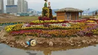 [GO Snapshot Slideshow] 동챙이 ( Tympole ) オタマロ ( 圓蝌蚪 )