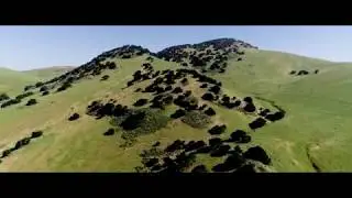 High Above Brushy Peak, Livermore CA (Spring '19) in 2:35 (4K)