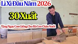 Lì Xì Đầu Năm Khai Xuân 2026 - Tặng Ngay Con Giống Cho Bà Con Chăn Nuôi