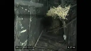 Prior5   skorsteinsløp 2B