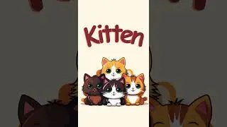 Sing Along Letter K | #babysongs #kids #abc #learningletters  #alphabets   #childrensrhymes