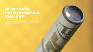 The Louisville Slugger 2021 LXT Fastpitch Bat