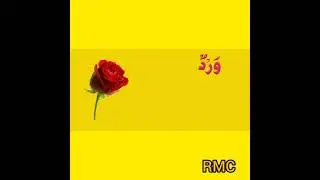 Arabic flowers name