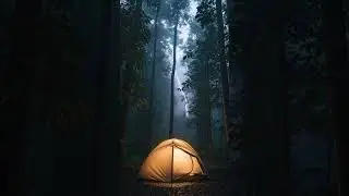 Rainforest Tent Rain Ambience &bull; Cozy Night in a Glowing Tent with Soft Thunder (4K)