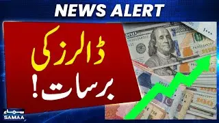 Record Inflow: Foreign Remittances to Pakistan Increase Over Five Months | Samaa Money