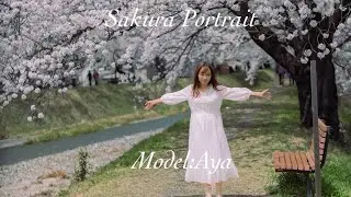 Sakura｜Cinematic Portrait Movie｜SONY&alpha;6400＋TAMRON 17-70mm F2.8