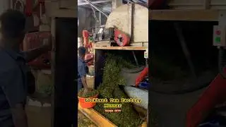 Lockhart Tea Factory Since 1879 | Munnar | 2024