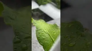 RAIN!!💧☔️🌨️| PUNE|#punerains