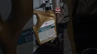 what oil should I use 0w20 & 5w30?