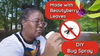 Say Bye to Mosquitoes with Beautyberry Spray | DIY Herbal Insect Repellent