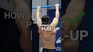✅ Learn the &ldquo;Perfect&rdquo; Pull-Up