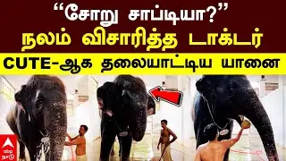 Tiruchendur Elephant | ’’சோறு சாப்டியா?’’நலம் விசாரித்த டாக்டர்CUTE-ஆக தலையாட்டிய யானை