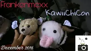 Frankenmexx & KawiiChiCon - Dezember 2016 || Fototoro