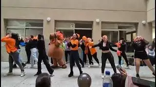 LA MEJOR COREOGRAFÍA DE  BAILE  DEL CAPIBARA. 