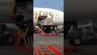 Emirates Boeing777 Cargo Pallet Offloading |